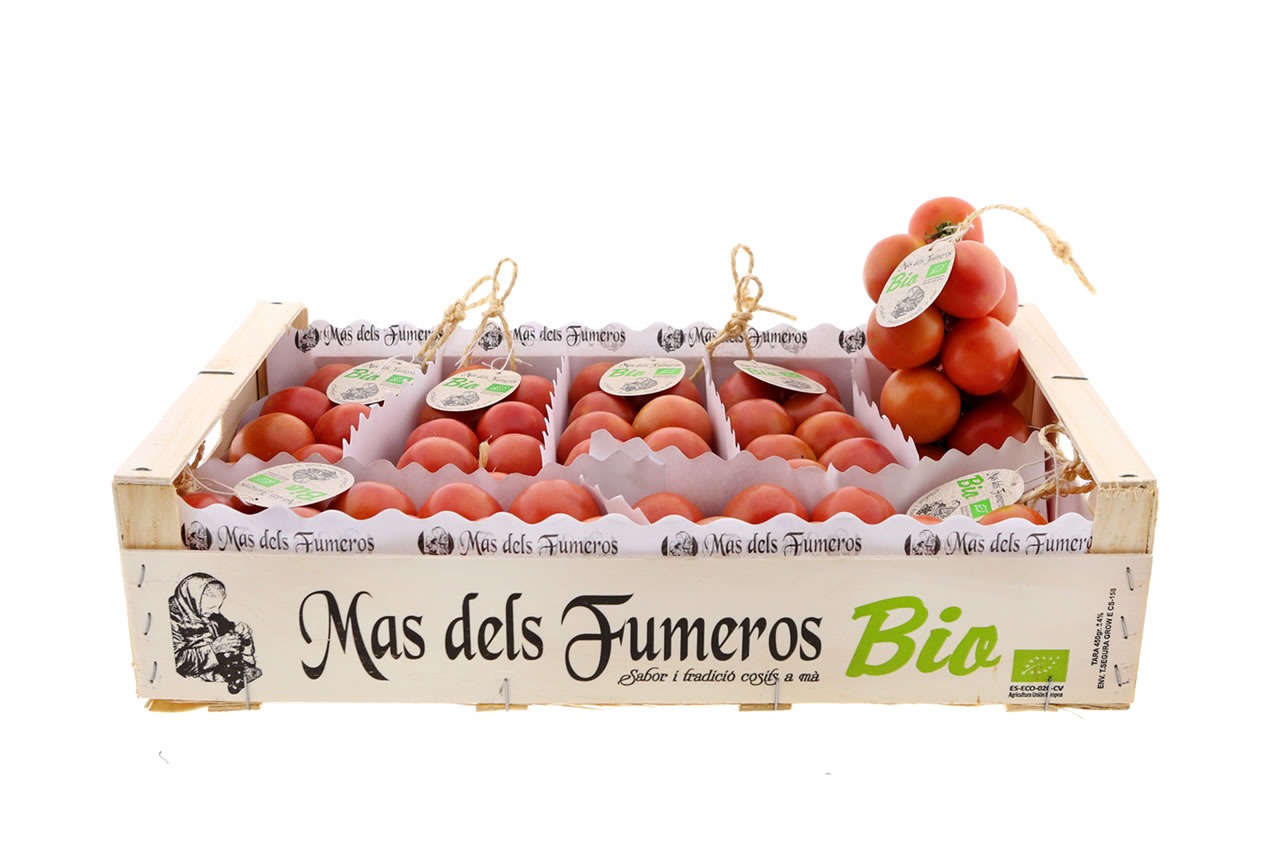 Tomate de colgar BIO (ristra)