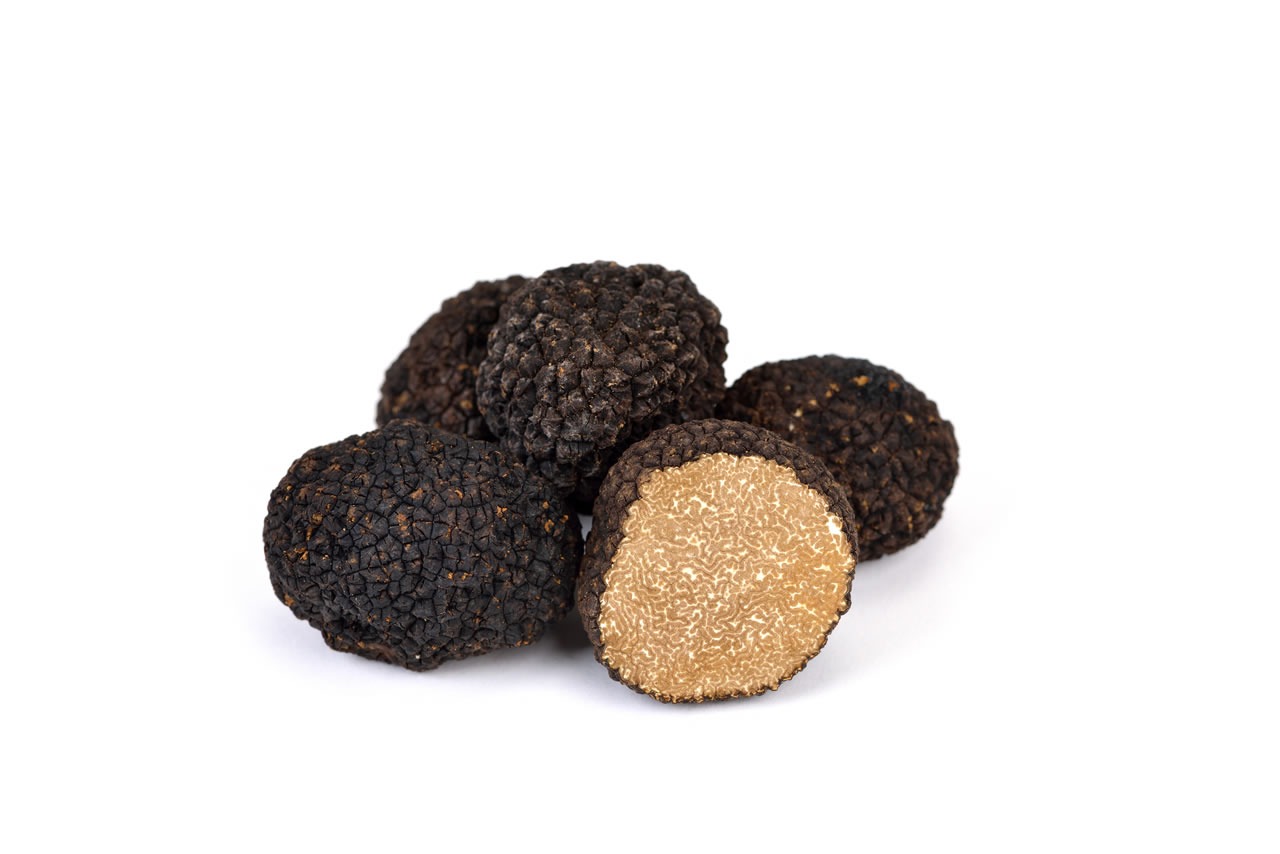 White Truffle Aestivum
